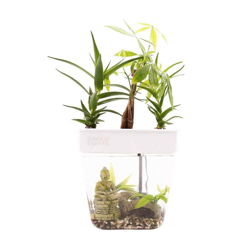 Back to the Roots for Herbs, Microgreens, Bamboo, Succulents, and Houseplants, Green, 3 Gallons - Image 1