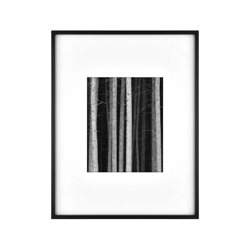 MCS Gallery Wall Frame, Black, 14 x 18 in matted to 8 x 10 in