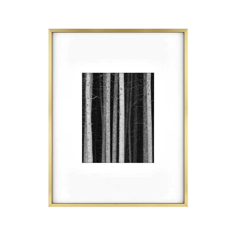 MCS Gallery Wall Frame, Brass, 14 x 18 in matted to 8 x 10 in