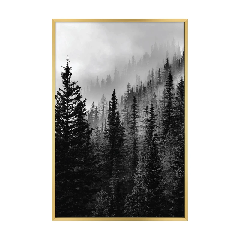 MCS Gallery Wall Frame, Brass, 16 x 24 in Without mat