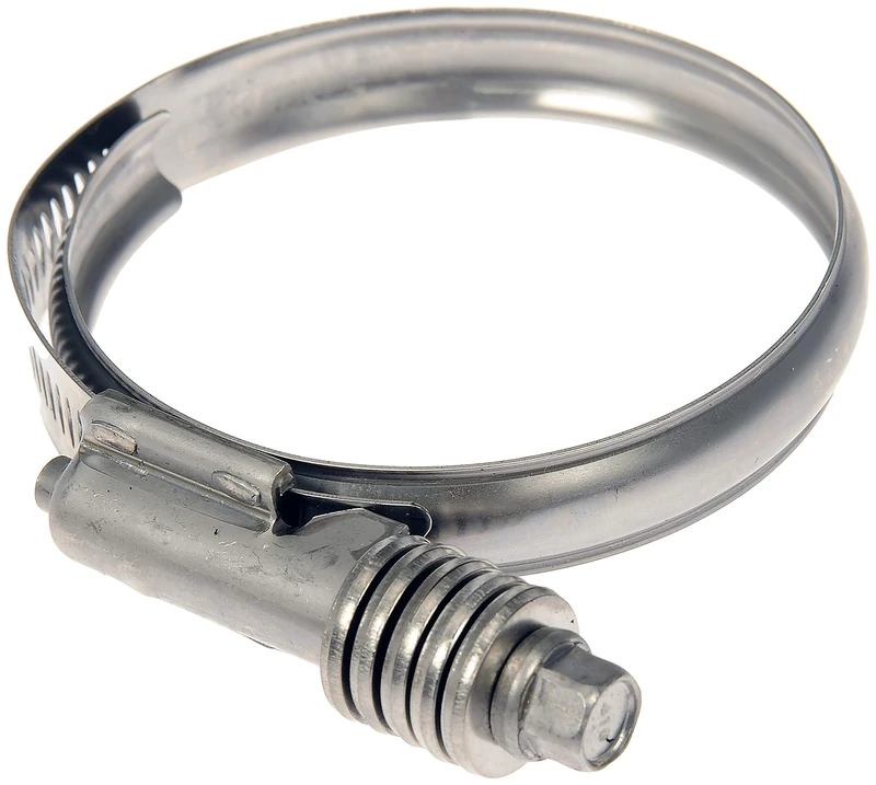 Dorman 55245 Turbocharger Intercooler Hose Clamp, 2 Pack (OE FIX)