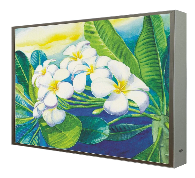 Picture with Wooden Frame Lacquered in White Illuminated with Plumeria LED Light
