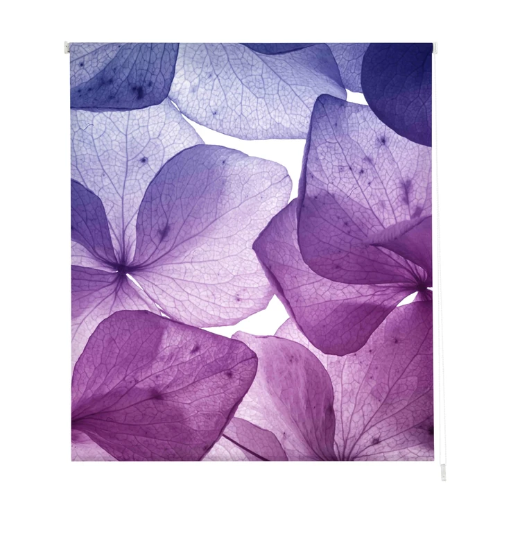 Estoralis Translucent Digital Roller Blind, Polyester, Multicoloured, 110 x 175 cm - Image 1