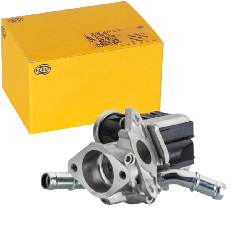 HELLA 6NU 010 171-901 EGR Valve - Electronic - 5-pin connector - with gaskets/seals