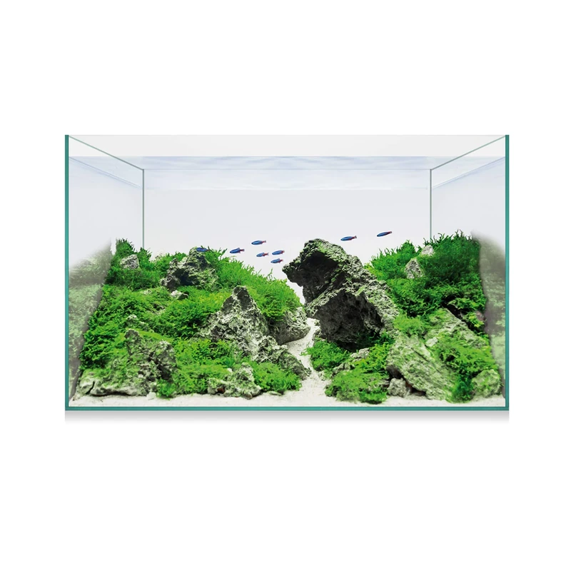 ICA Kit Aquascape Basic 14 12ml Rectangular Glass Aquarium for Fish