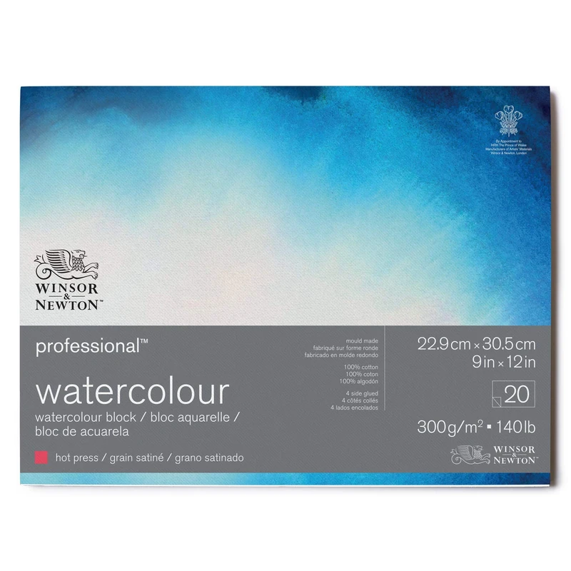 Winsor & Newton 6664006 Professional Watercolour Paper in Pad, 20 Sheets 22.9 x 30.5 cm, 300 g/m², Satined, Bright Natural White Paper in Archival Quality, Resistant to Yellowing