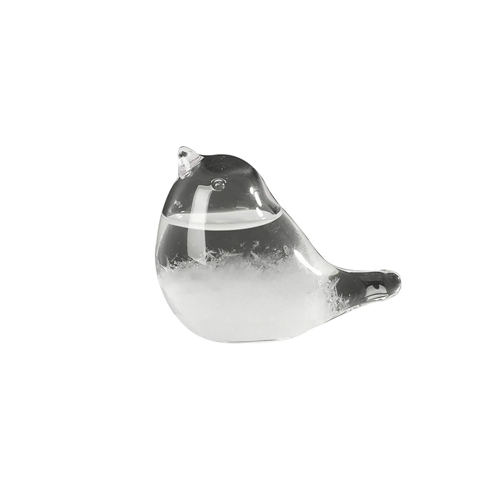 Fuoliystep Glass Storm Glass Weather Forecaster Barometer Predictor Office Desktop Home Decorative Gift for Women