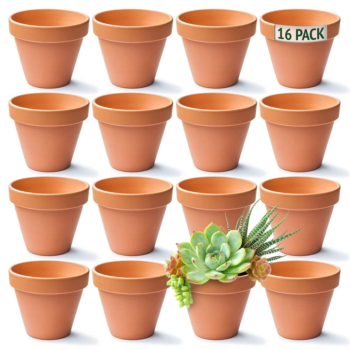 Green Thumbz Terracotta Plant Pots - 8cm x 16 Pack Small Plant Pots - Multi Purpose Mini Terracotta Pots for Plants, Flowers, Candle Making, and Painted Art