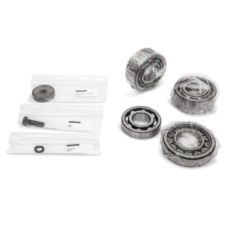 Robuschi Service Kit Spare Part Bearing For Lobe Blower, Range RBS, Sizes 75-85-86: Rotor Shaft Front Bearing, Rotor Shaft Rear Bearing, Screw TE 16X045 UNI 5739, Washer A 17 UNI 1751 in 1-box