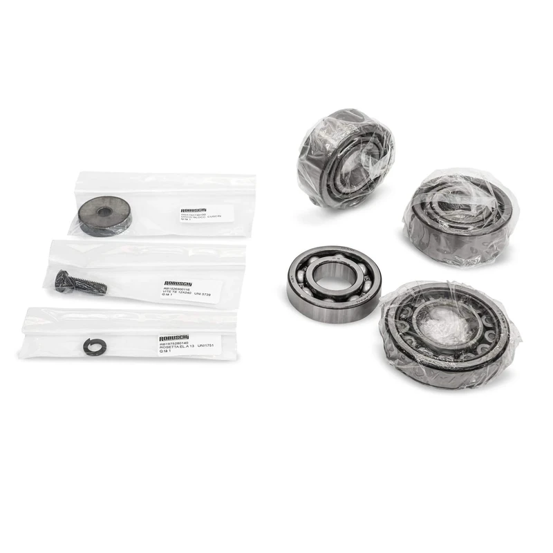 Robuschi Service Kit Spare Bearings For Lobe Blower, Range RBS, Sizes 55-65-66: Rotor Shaft Front Bearing, Rotor Shaft Rear Bearing, Screw, Bearing Lock Dick, Washer in 1-box - Image 1