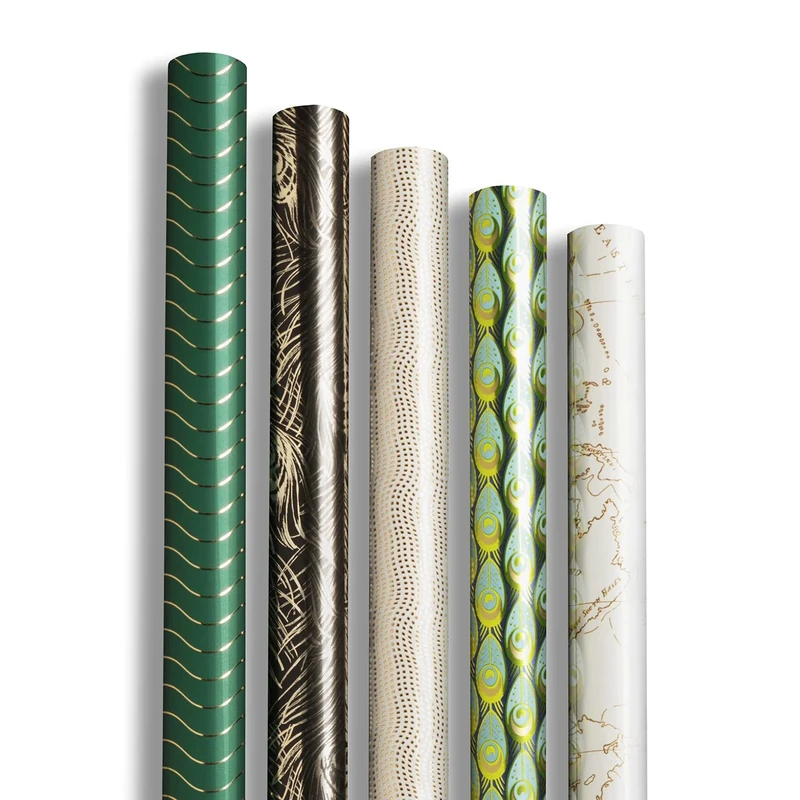 Clairefontaine 212871AMZC - Box Of 10 Rolls Of Gift Paper - Premium Paper 80g Size: 2x0,70m - Pattern: Gloss, Black, White, Green, Feather, Travel, Planisphere