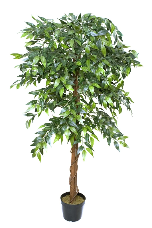 Premium Artificial Ficus Weeping Fig Tree 160 Cm/ 5 Ft Potted Plant