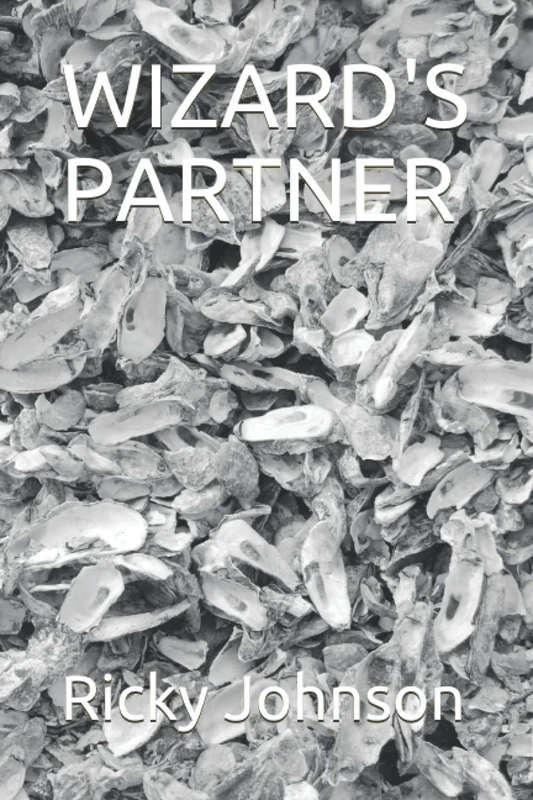 WIZARD'S PARTNER - Image 1