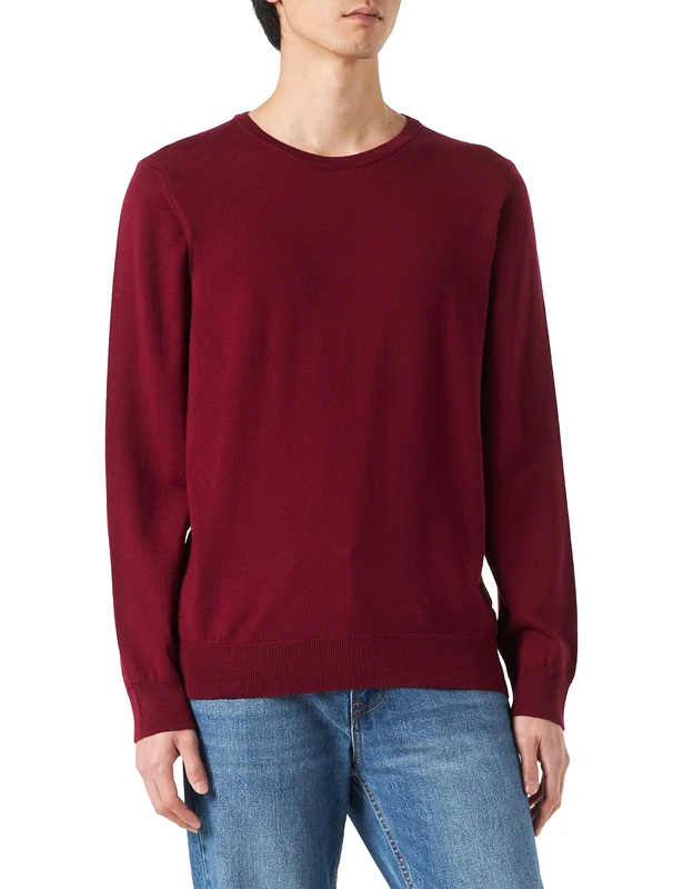 REPLAY Men's Jumper, 278 Plum, XS