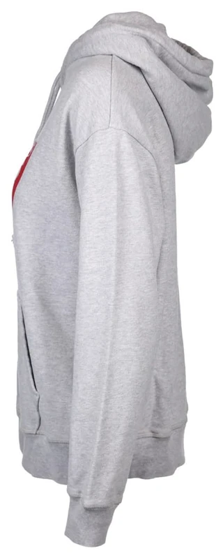 Levi's Women's Graphic Standard Hoodie, Grey, XXS