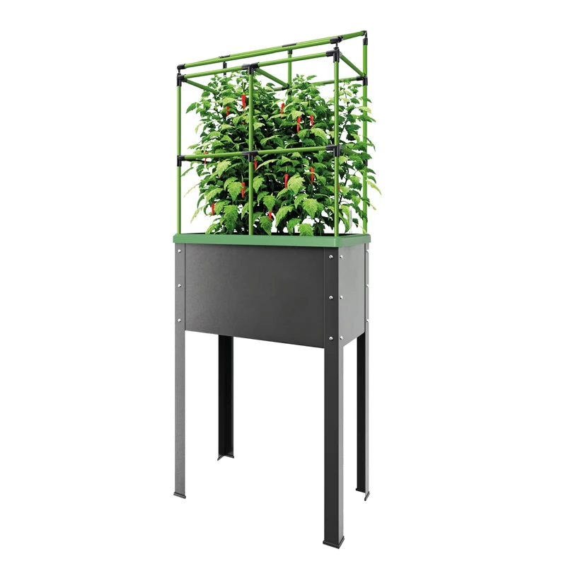 Bio Green JGL-HDB-L City Jungle Heidelberg Self Watering Elevated Planter