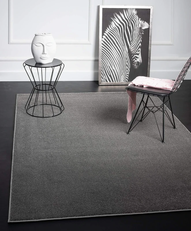 Mia's Teppiche Emma Living Room Rug, Short Pile, Anthracite, 120 x 170 cm, 4260657056058