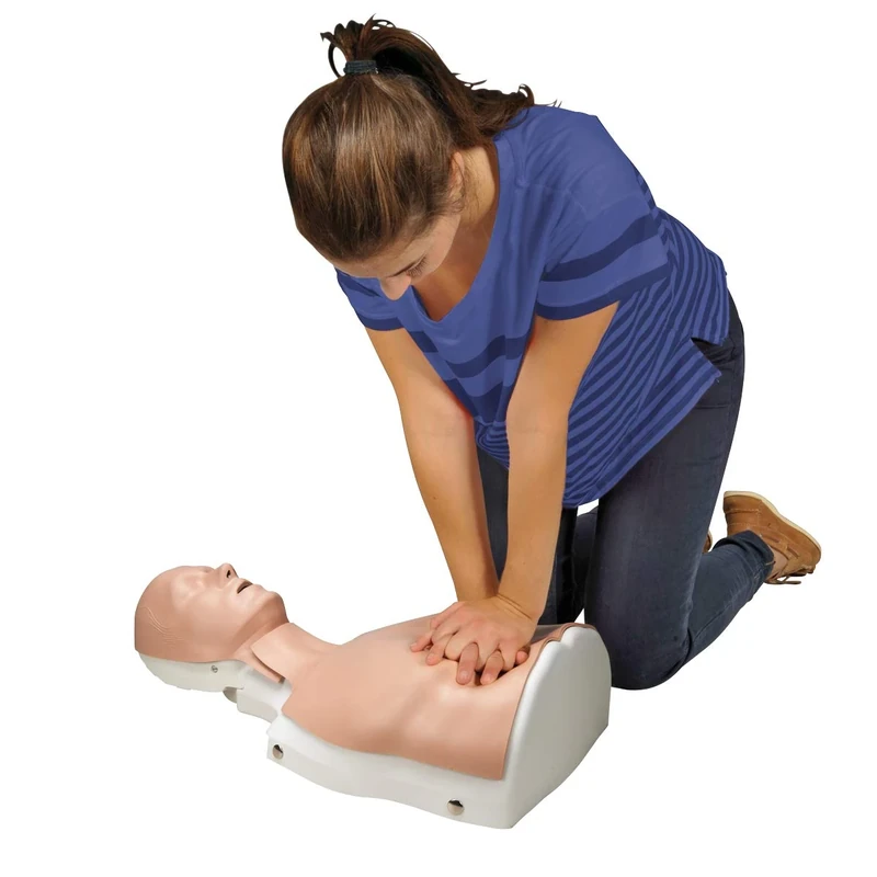 3B Scientific BASICBilly without feedback device