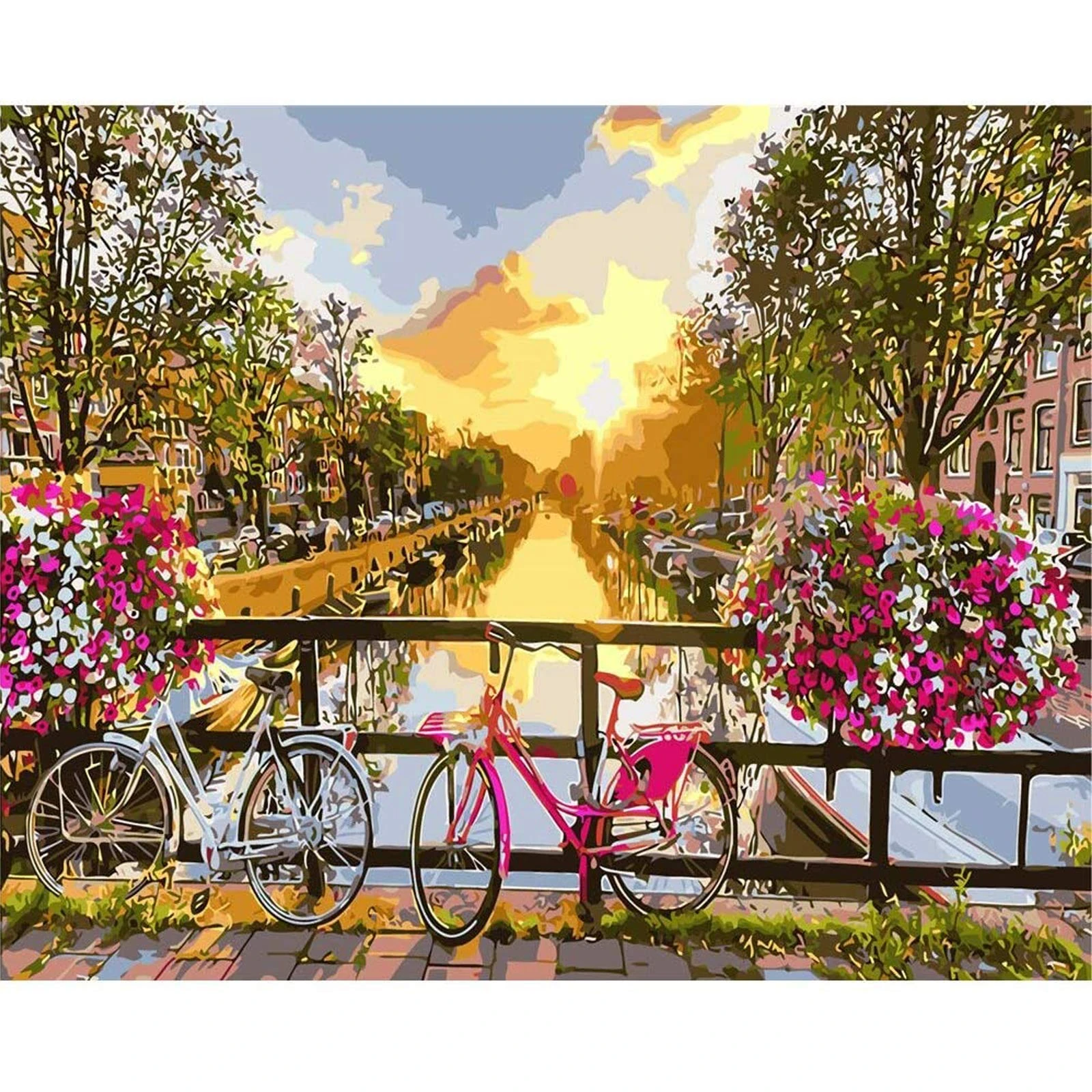 sukoly Paint by Numbers,Paint by Numbers Bicycle for Adults Kids Beginners 40 * 50 cm Sunset Paint by Numbers Kits for Adults Home Wall Decoration Without Frame - Flower Bike