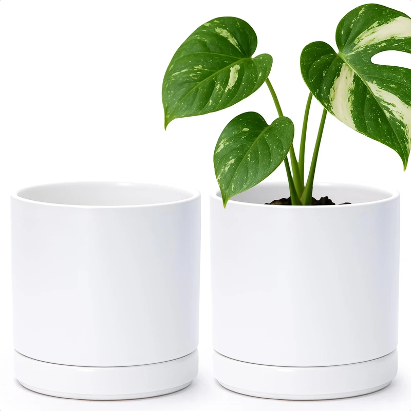 D'vine Dev Set of 2 Plants Pots, 6 Inch Ceramic Planter Pot for Plants with Drainage Hole and Saucer, White, 94-V-C-1 - Image 1
