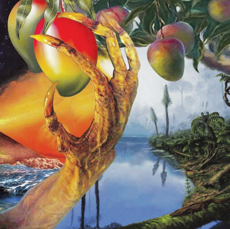 A Morphology Of Wonders [VINYL]