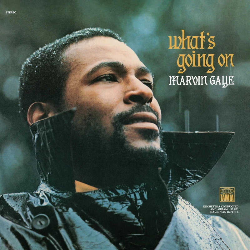 Tg What's Going on [VINYL]
