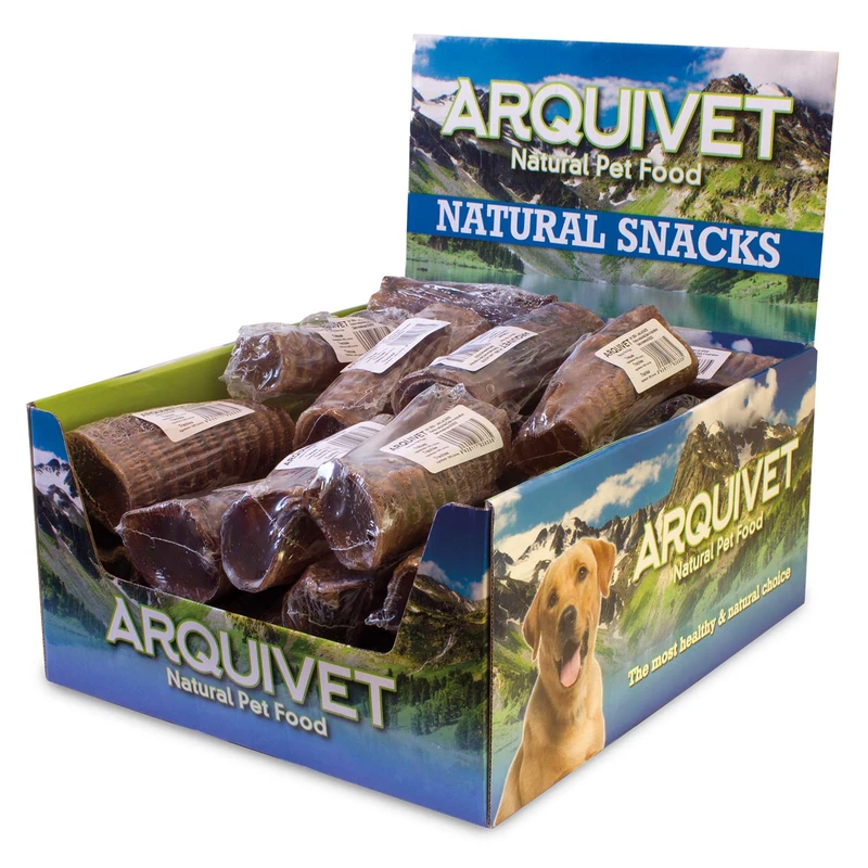 Arquivet Trachea (Complete Box of 30 Retractable Units) 1260g