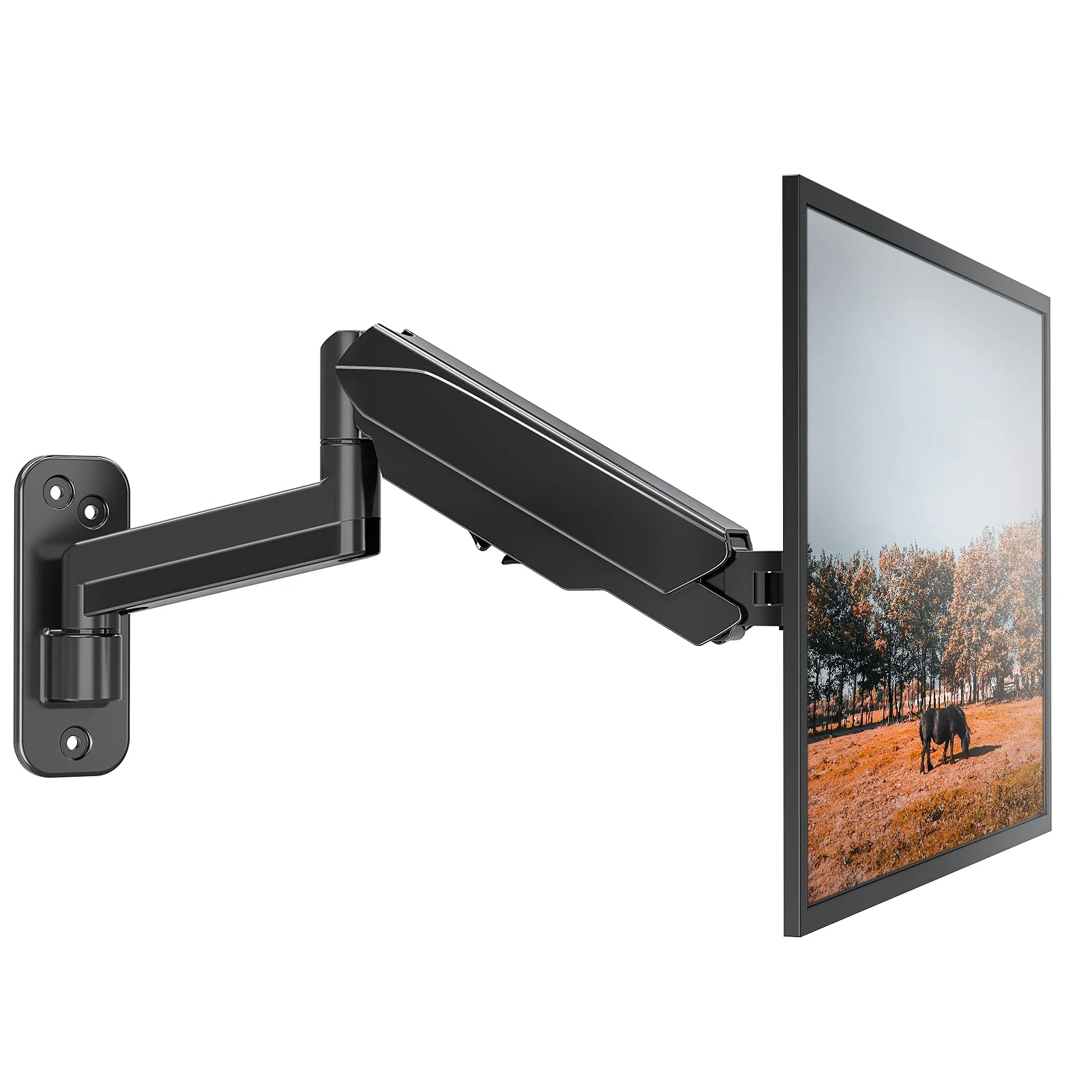 Monitor Wall Bracket EV023DE