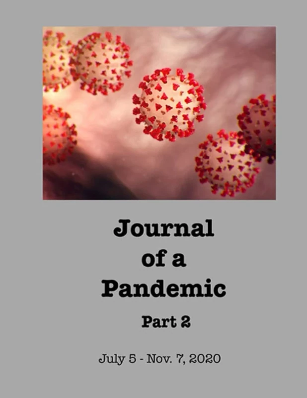 Journal of a Pandemic, Part 2: July 5 - Nov. 7, 2020