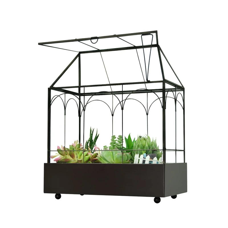Large Tall Glass Succulent Terrarium with Rim and Tray for Plants 24 x 14 x 29 cm