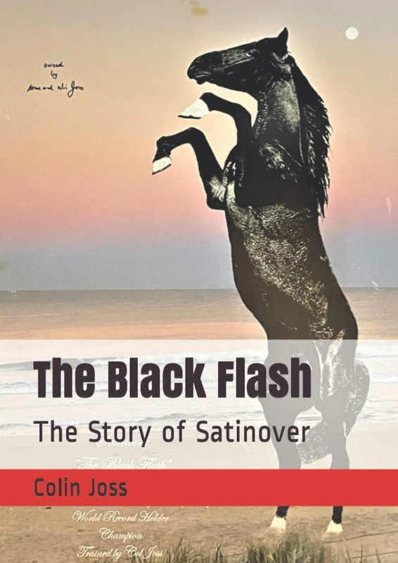 The Black Flash: The Story of Satinover - Image 1