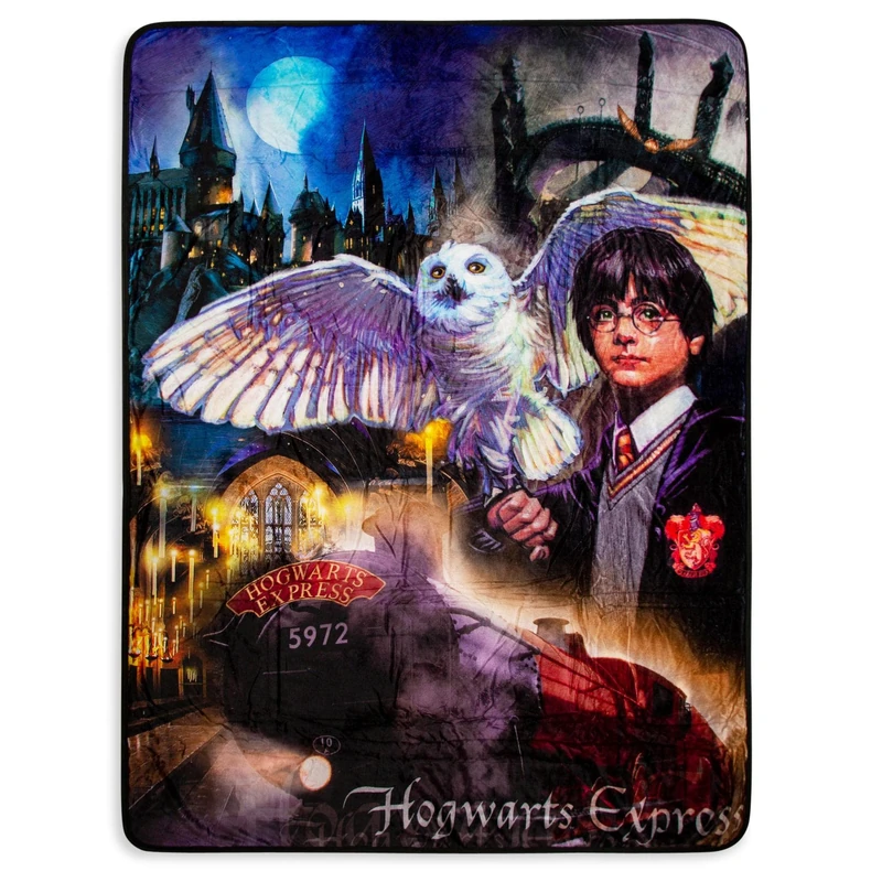 Northwest Silk Touch Sherpa Throw Blanket, Polyester, Harry Potter Magic Montage, 60" x 80"