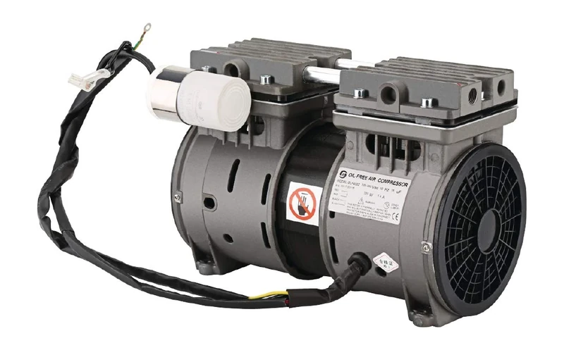 Buffalo Vacuum Pump Assembly for DK208 GF439