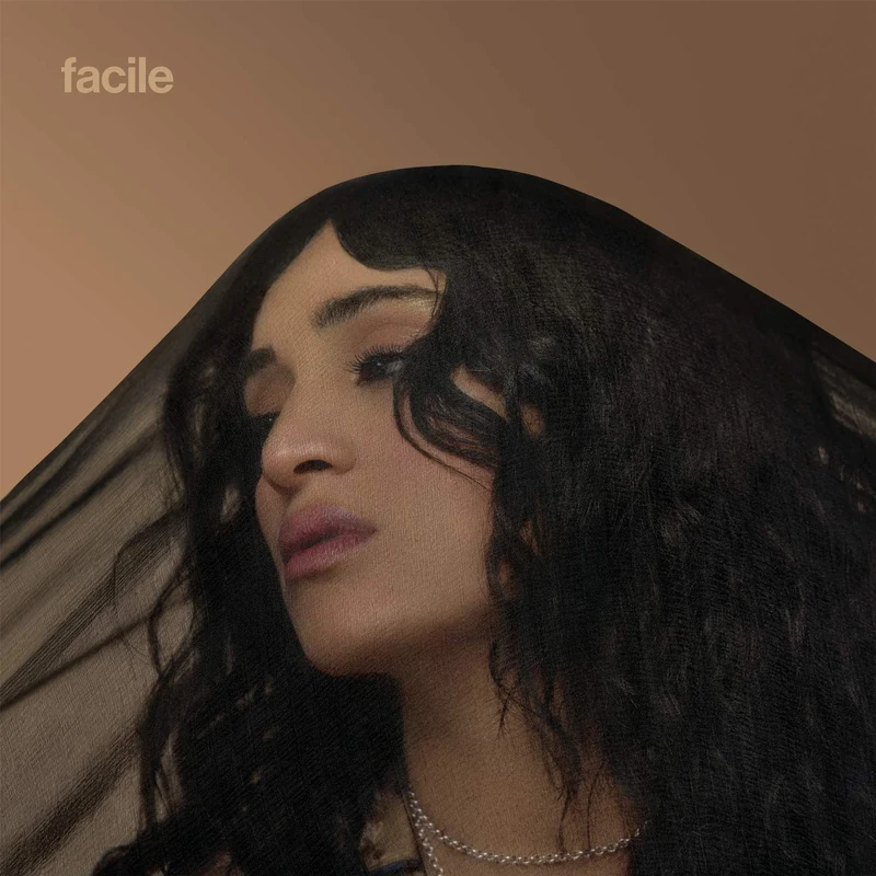 facile x fragile | Double vinyle gatefold transparent [VINYL]