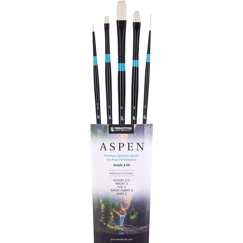 PRINCETON ARTIST BRUSH CO. Aspen 6500 5pc Professional Paint Brushes - Synthetic Oil, Acrylic & Gouache Brush Set - Round, Black
