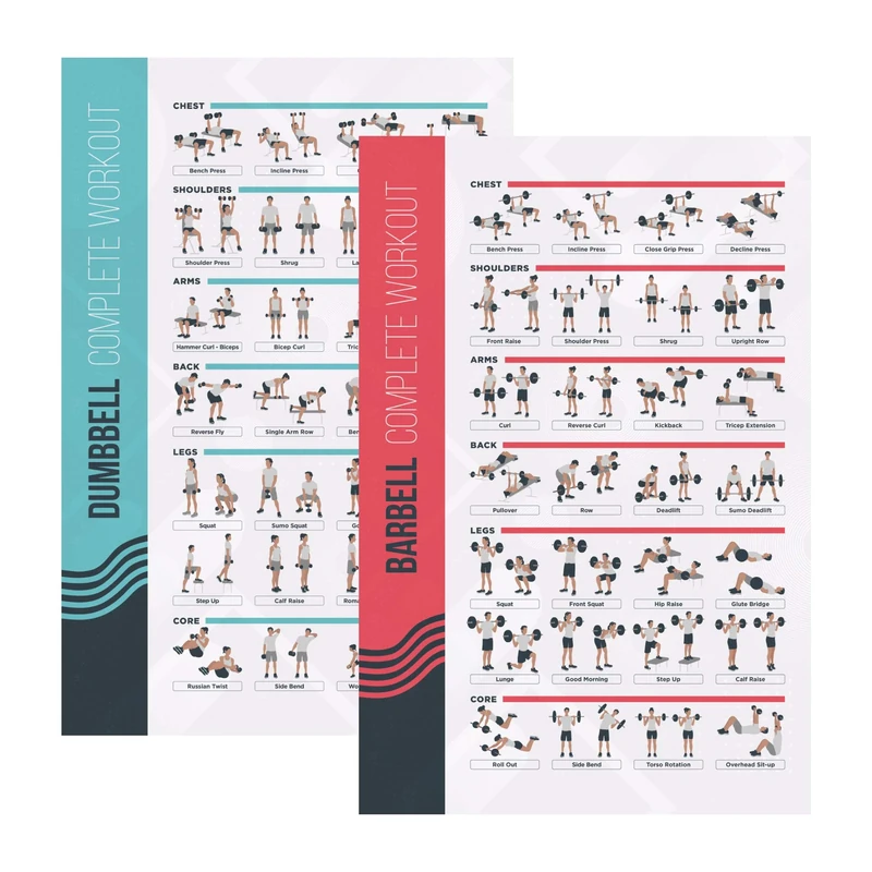 FitMate Dumbbell and Barbell Workout Exercise Poster, 2-Pack, Workout Routine with Free Weights, Home Gym Decor, Room Guide (16.5 x 25 Inch)