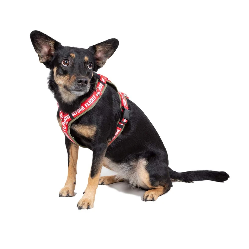 Alpha Industries Unisex Dog RBF Harness Dark Olive L - Image 1