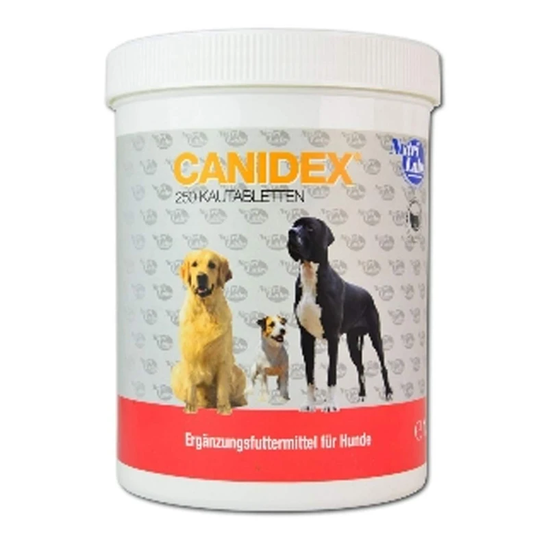 NutriLabs Canidex Joint Tablets for Dogs 250 Pieces - with MSM, Hyaluronic Acid, Glucosamine, etc. - Health Products for Dogs - Dietary Supplement Dog - Devil's Claw Dog