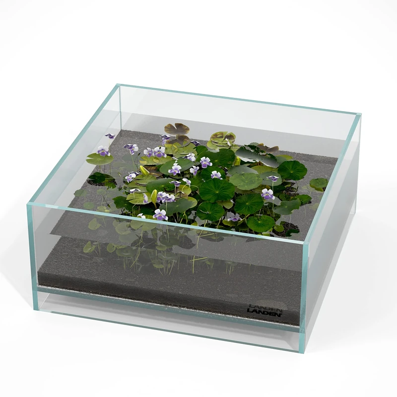 LANDEN Glass Air Aquarium Tank Multi-SceneLandscape Aquarium, 1.6Gallon Rimless Low Iron Shallow Tank,W10.6×D10.6×H4.7 in(27x27x12cm) 5mm Thickness