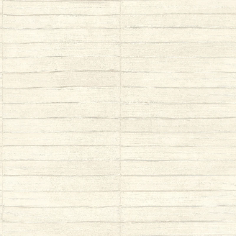 Rasch Tapeten Non Woven Wallpaper (Graphic) White 10,05 m x 0,53 m Club 418415