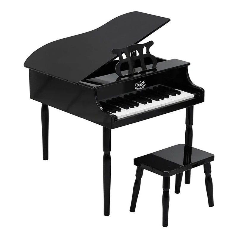 Black Piano with Tail - Image 1