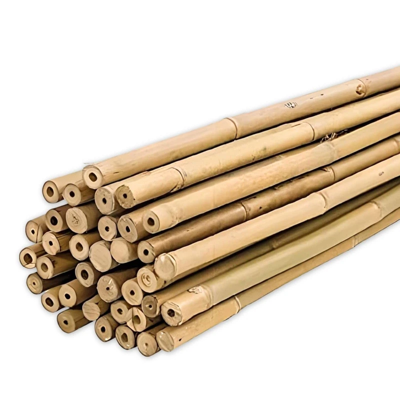 PLANTAWA Bamboo Tutors Bamboo Tutors Diameter 6-8mm Pack of 25 Agricultural Use for Fixing Plants, Vegetables and Trees (150cm) - Image 1