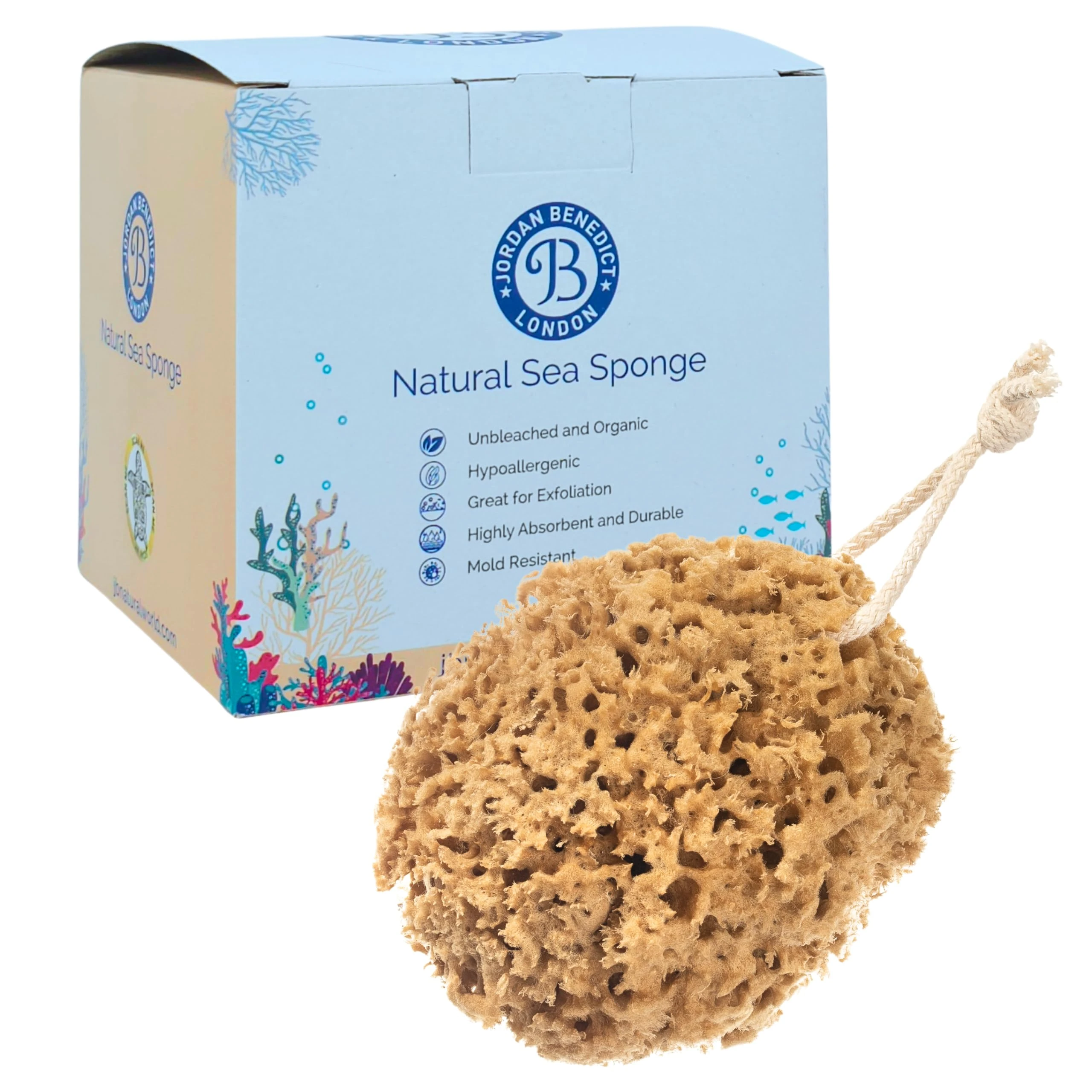 Jordan Benedict Natural Sea Sponge, Unbleached Honeycomb Bath Sponges for Adults, Gently Exfoliating Shower Sponge, Nurturing Organic Bathing Sponge (S Pack of 1)