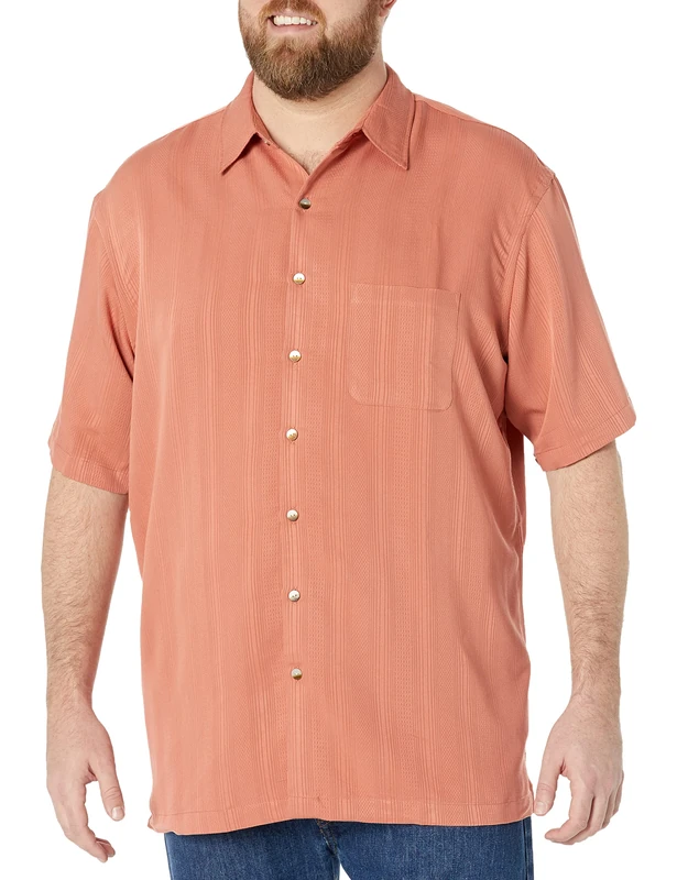 Van Heusen Men's Big and Tall Air Short Sleeve Button Down Poly Rayon Stripe Shirt, Red Barn, L