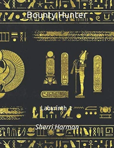 Bounty Hunter: Labyrinth 1