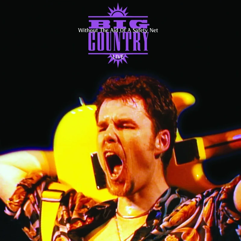 Without The Aid Of A Safety Net [VINYL]