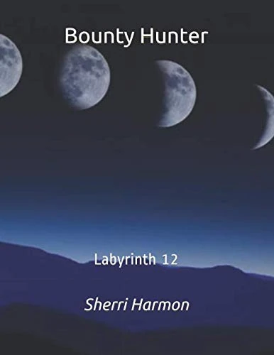 Bounty Hunter: Labyrinth 12