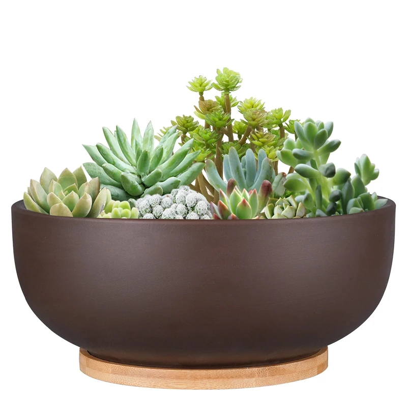Thirtypot 25CM Terracotta Planter, Large Succulent Bonsai Planter Pot with Drainage Hole and Bamboo Saucer for Indoor Plants, Brown