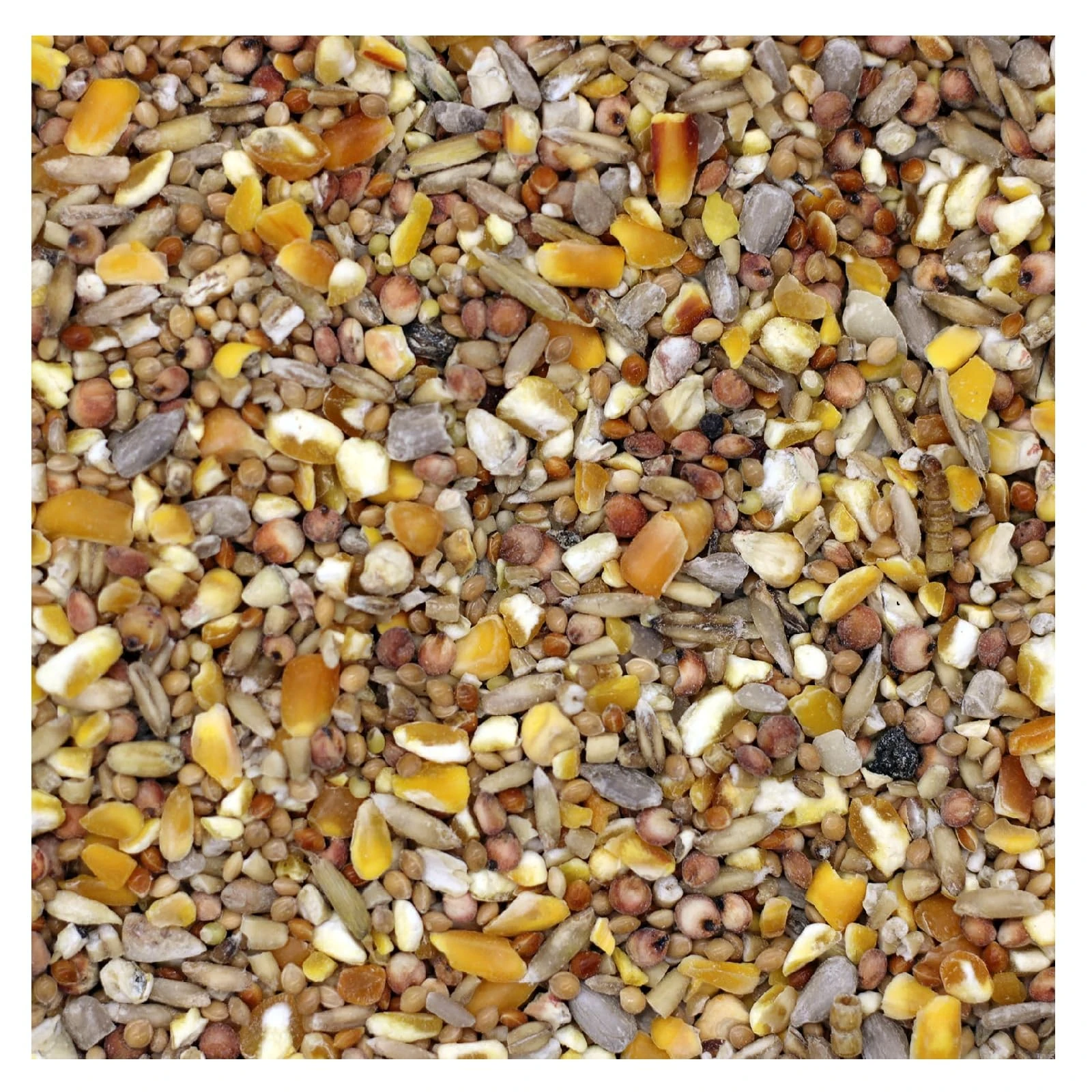 Bamfords Robin & Songbird Wild Bird Food No Mess Seed Mix 20kg