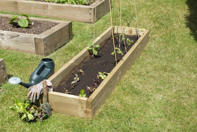 Forest Garden Caledonian Long Rectangular Wooden Raised Bed | 45 x 180cm| Vegetable Planter Box